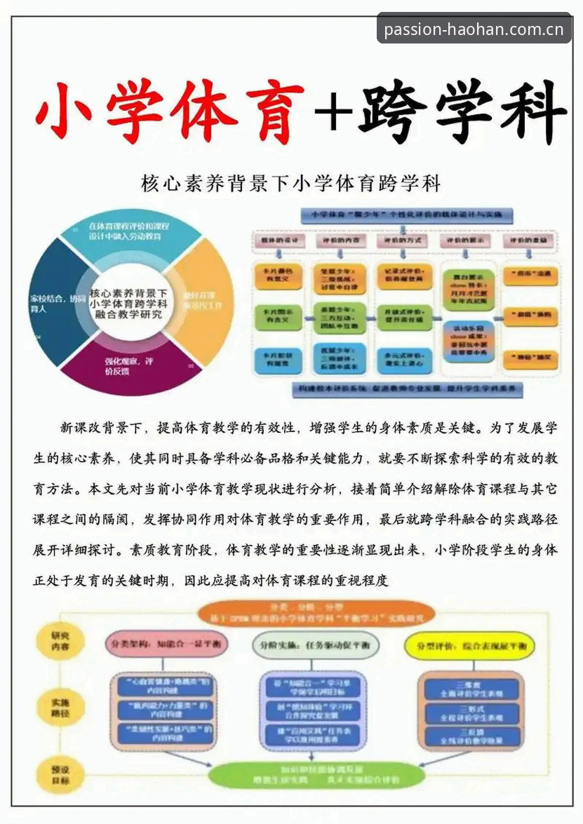 深度解析浩瀚体育的实用技巧与必备知识指南